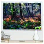 Spaziergang durch den Zauberwald (hochwertiger Premium Wandkalender 2026 DIN A2 quer), Kunstdruck in Hochglanz