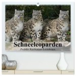 Schneeleoparden. Perfekte Raubkatzen-Schönheiten (hochwertiger Premium Wandkalender 2026 DIN A2 quer), Kunstdruck in Hochglanz