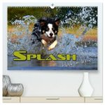 SPLASH - Hunde im Wasser (hochwertiger Premium Wandkalender 2026 DIN A2 quer), Kunstdruck in Hochglanz