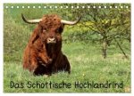 Das Schottische Hochlandrind (Tischkalender 2026 DIN A5 quer), CALVENDO Monatskalender