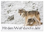 Mit dem Wolf durch's Jahr (Wandkalender 2026 DIN A3 quer), CALVENDO Monatskalender