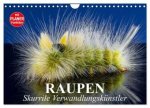Raupen. Skurrile Verwandlungskünstler (Wandkalender 2026 DIN A4 quer), CALVENDO Monatskalender