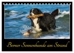 Berner Sennenhunde am Strand (Tischkalender 2026 DIN A5 quer), CALVENDO Monatskalender
