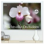 Prachtvolle Orchideen (hochwertiger Premium Wandkalender 2026 DIN A2 quer), Kunstdruck in Hochglanz