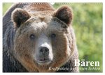Bären. Kraftpakete auf leisen Sohlen (Wandkalender 2026 DIN A3 quer), CALVENDO Monatskalender