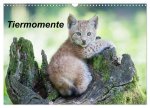 Tiermomente (Wandkalender 2026 DIN A3 quer), CALVENDO Monatskalender
