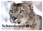Schneeleoparden. Geschmeidige Gebirgsjäger (Tischkalender 2026 DIN A5 quer), CALVENDO Monatskalender