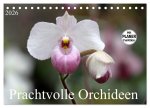 Prachtvolle Orchideen (Tischkalender 2026 DIN A5 quer), CALVENDO Monatskalender