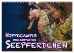 Hippocampus oder einfach nur Seepferdchen (Wandkalender 2026 DIN A3 quer), CALVENDO Monatskalender