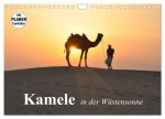 Kamele in der Wüstensonne (Wandkalender 2026 DIN A4 quer), CALVENDO Monatskalender