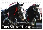 Das Shire Horse. Impressionen (Tischkalender 2026 DIN A5 quer), CALVENDO Monatskalender