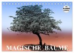 Magische Bäume (Tischkalender 2026 DIN A5 quer), CALVENDO Monatskalender