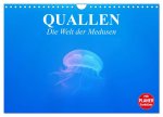 Quallen. Die Welt der Medusen (Wandkalender 2026 DIN A4 quer), CALVENDO Monatskalender