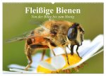 Fleißige Bienen. Von der Blüte bis zum Honig (Wandkalender 2026 DIN A2 quer), CALVENDO Monatskalender