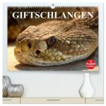 Giftschlangen (hochwertiger Premium Wandkalender 2026 DIN A2 quer), Kunstdruck in Hochglanz