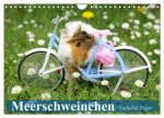 Meerschweinchen. Geliebte Nager (Wandkalender 2026 DIN A4 quer), CALVENDO Monatskalender