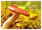 Pilze und Pilzgerichte (Tischkalender 2026 DIN A5 quer), CALVENDO Monatskalender