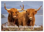 Schottische Hochlandrinder. Freundlich, schön und robust (Wandkalender 2026 DIN A3 quer), CALVENDO Monatskalender