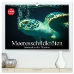 Meeresschildkröten. Nomaden der Ozeane (hochwertiger Premium Wandkalender 2026 DIN A2 quer), Kunstdruck in Hochglanz