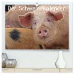 Der Schweinekalender (hochwertiger Premium Wandkalender 2026 DIN A2 quer), Kunstdruck in Hochglanz