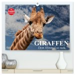Giraffen. Dem Himmel so nah (hochwertiger Premium Wandkalender 2026 DIN A2 quer), Kunstdruck in Hochglanz