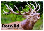 Rotwild. Edle Hirsche, stolze Kühe (Wandkalender 2026 DIN A3 quer), CALVENDO Monatskalender