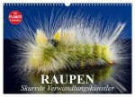 Raupen. Skurrile Verwandlungskünstler (Wandkalender 2026 DIN A3 quer), CALVENDO Monatskalender