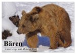 Bären. Unterwegs mit Meister Petz (Wandkalender 2026 DIN A2 quer), CALVENDO Monatskalender