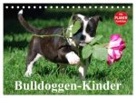 Bulldoggen-Kinder (Tischkalender 2026 DIN A5 quer), CALVENDO Monatskalender