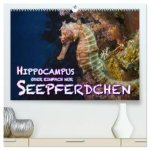Hippocampus oder einfach nur Seepferdchen (hochwertiger Premium Wandkalender 2026 DIN A2 quer), Kunstdruck in Hochglanz