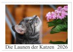 Die Launen der Katzen 2026 (Wandkalender 2026 DIN A3 quer), CALVENDO Monatskalender