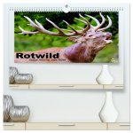 Rotwild. Edle Hirsche, stolze Kühe (hochwertiger Premium Wandkalender 2026 DIN A2 quer), Kunstdruck in Hochglanz