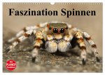 Faszination Spinnen (Wandkalender 2026 DIN A3 quer), CALVENDO Monatskalender