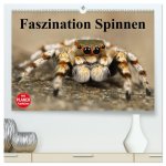 Faszination Spinnen (hochwertiger Premium Wandkalender 2026 DIN A2 quer), Kunstdruck in Hochglanz