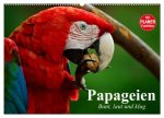 Papageien. Bunt, laut und klug (Wandkalender 2026 DIN A2 quer), CALVENDO Monatskalender
