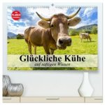 Glückliche Kühe auf saftigen Wiesen (hochwertiger Premium Wandkalender 2026 DIN A2 quer), Kunstdruck in Hochglanz