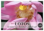 Lotos. Symbol für Reinheit und Kraft (Wandkalender 2026 DIN A4 quer), CALVENDO Monatskalender