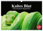 Kaltes Blut. Faszination Reptilien (Wandkalender 2026 DIN A3 quer), CALVENDO Monatskalender