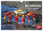 Krabben. Witzige Monster (Wandkalender 2026 DIN A4 quer), CALVENDO Monatskalender