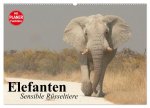 Elefanten. Sensible Rüsseltiere (Wandkalender 2026 DIN A2 quer), CALVENDO Monatskalender