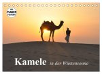 Kamele in der Wüstensonne (Tischkalender 2026 DIN A5 quer), CALVENDO Monatskalender
