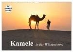 Kamele in der Wüstensonne (Wandkalender 2026 DIN A3 quer), CALVENDO Monatskalender