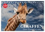 Giraffen. Dem Himmel so nah (Tischkalender 2026 DIN A5 quer), CALVENDO Monatskalender