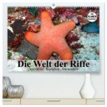 Die Welt der Riffe. Seesterne, Korallen, Anemonen (hochwertiger Premium Wandkalender 2026 DIN A2 quer), Kunstdruck in Hochglanz