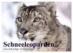 Schneeleoparden. Geschmeidige Gebirgsjäger (Wandkalender 2026 DIN A3 quer), CALVENDO Monatskalender