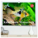 Knallbunte Wasserwelt. Die Welt der Fische (hochwertiger Premium Wandkalender 2026 DIN A2 quer), Kunstdruck in Hochglanz