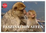 Faszination Affen. Kobolde zum Verlieben (Wandkalender 2026 DIN A3 quer), CALVENDO Monatskalender