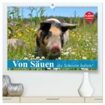 Von Säuen die Schwein haben! (hochwertiger Premium Wandkalender 2026 DIN A2 quer), Kunstdruck in Hochglanz