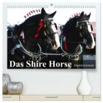Das Shire Horse. Impressionen (hochwertiger Premium Wandkalender 2026 DIN A2 quer), Kunstdruck in Hochglanz