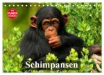 Schimpansen (Tischkalender 2026 DIN A5 quer), CALVENDO Monatskalender